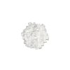 clizia s white