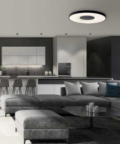 Alternative view of Coin musta kattovalaisin